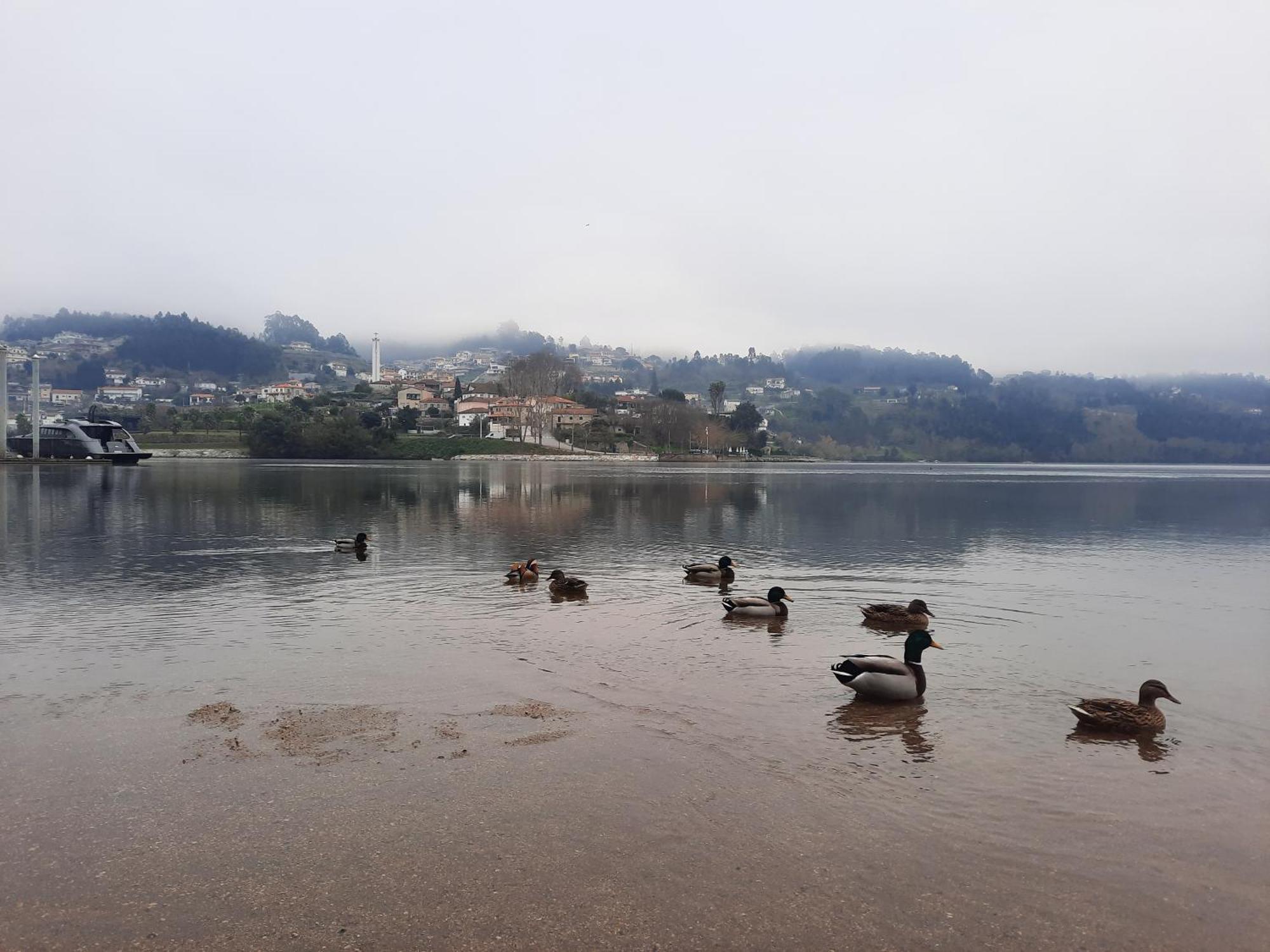 Appartamento Burguesinha Al Entre-Os-Rios Esterno foto