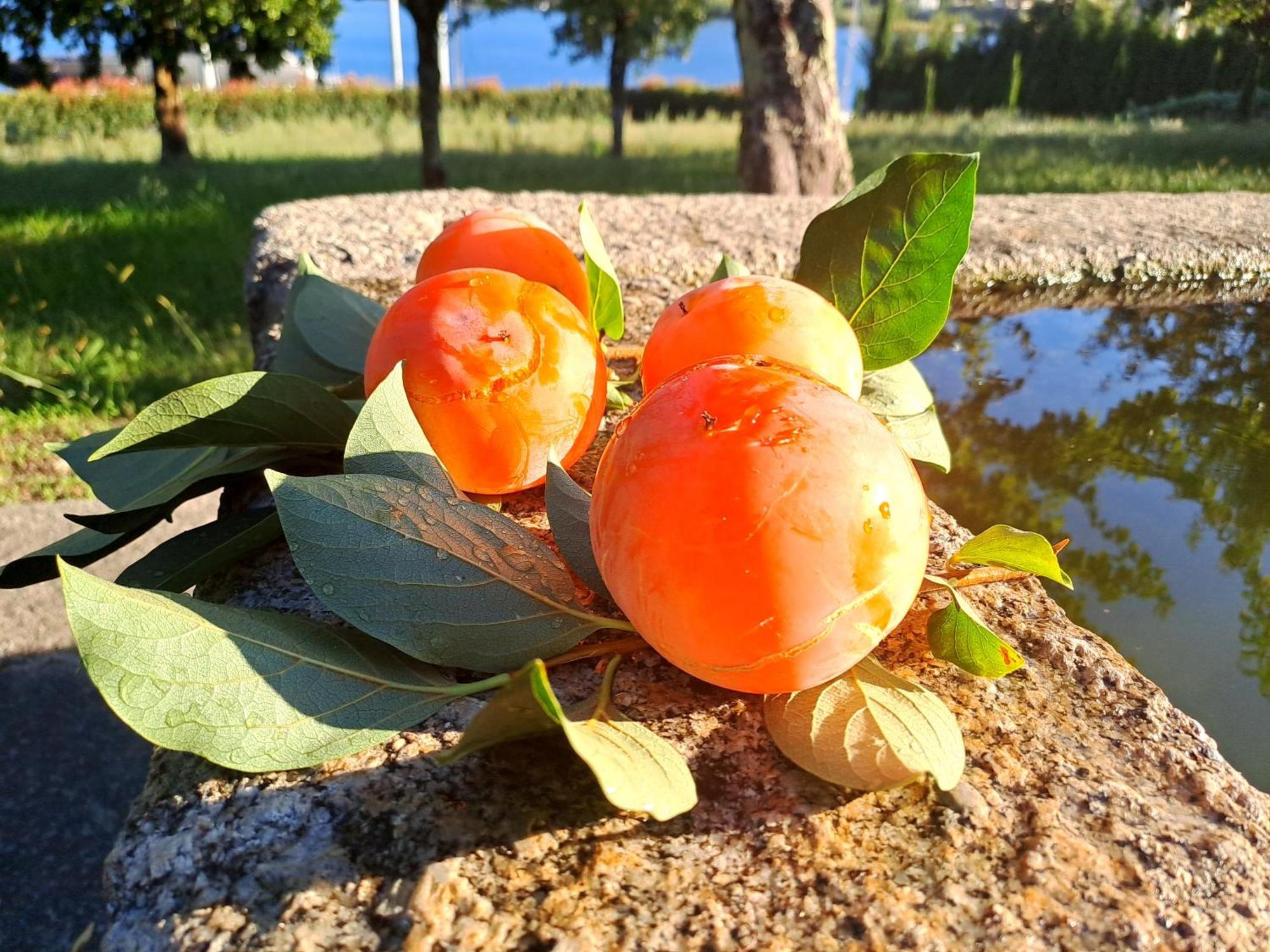 Appartamento Burguesinha Al Entre-Os-Rios Esterno foto