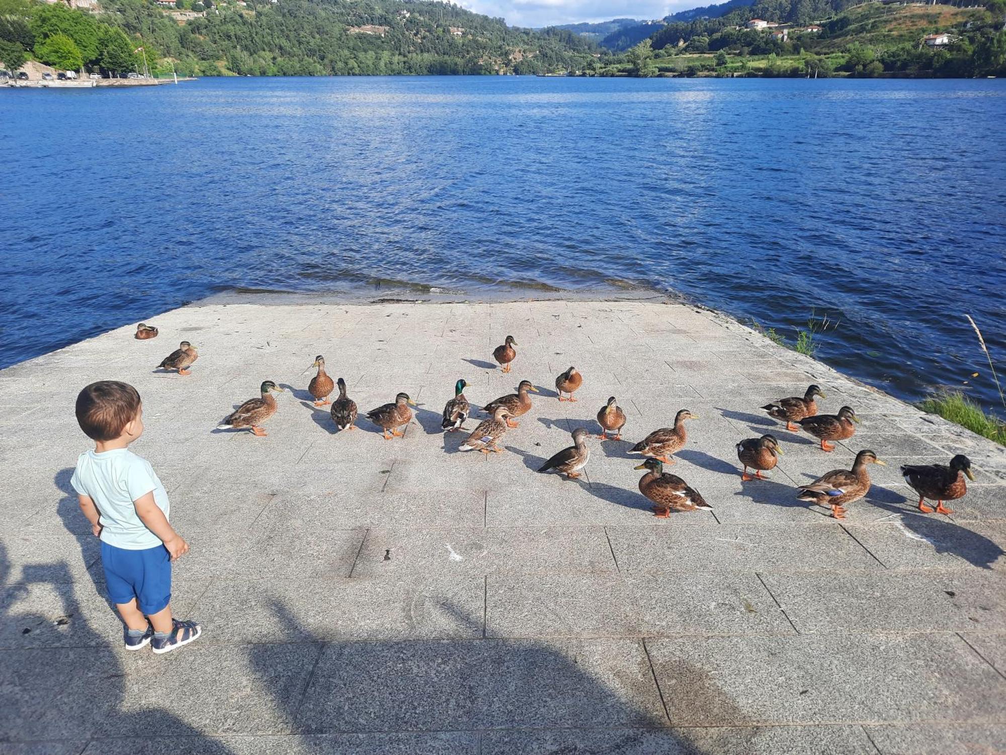 Appartamento Burguesinha Al Entre-Os-Rios Esterno foto